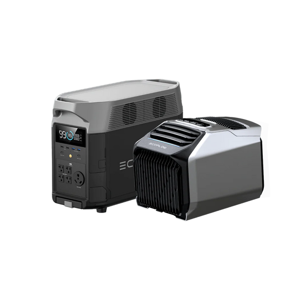 EcoFlow WAVE 2 + DELTA Pro