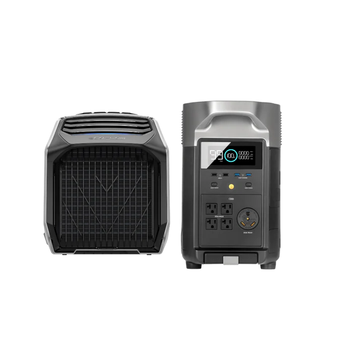 EcoFlow WAVE 2 + DELTA Pro