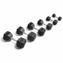 Rubber Hex Dumbbell Set  (55-100 LBs)