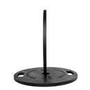 Black Coated Machined 45 Pound Cast Iron Weight Plate Pair (2)